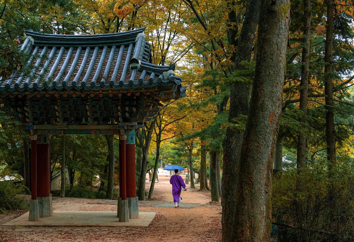 한국 전통 마을, 숲, 나무, 산책, 가을, 가을, 정원, 공원, 문화, 마을, 전통, 역사, 관광, 자연, 한옥, 민속마을, 민속마을