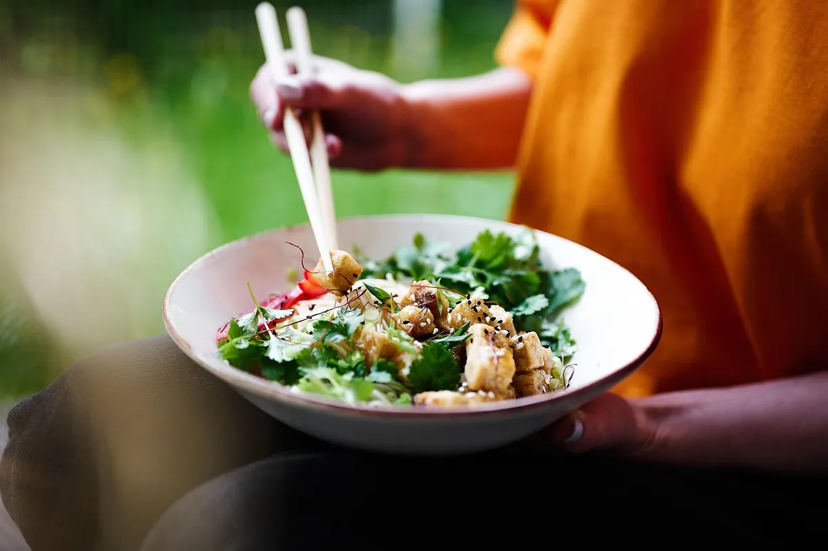 salad, asian, food, dish, meal, cuisine, delicious, tasty, kitchen, pasta, plate, tofu, peppers, healthy, coriander, salad, salad, salad, salad, salad, tofu, to