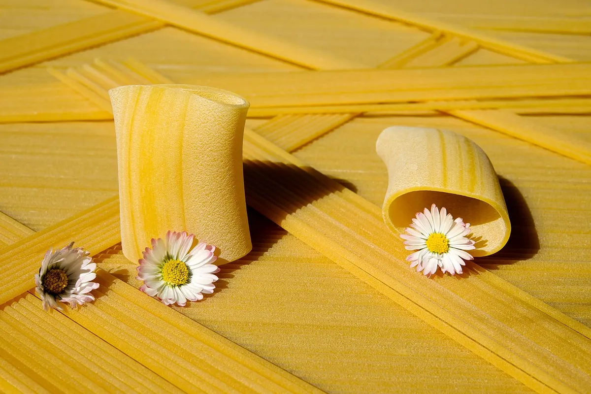 noodles, pasta, raw, paccheri giganti, yellow, food, staple food, nutrition, carbohydrates, delicious, italian, ingredients, italian cuisine, noodles, pasta, pa