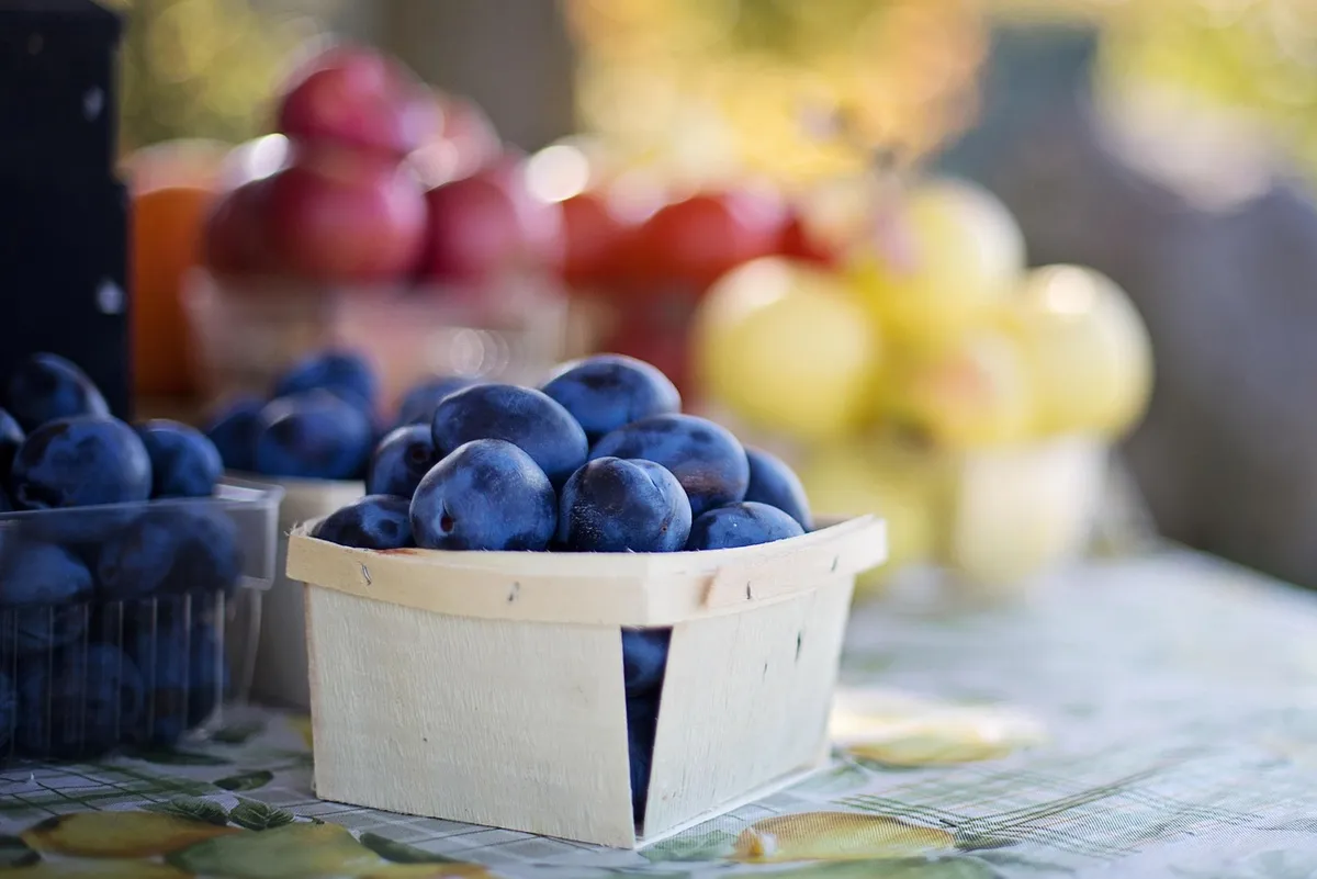 fruit, plums, fruit market, farmer's market, food, healthy, fresh, organic, nutrition, organic food, plums, plums, plums, plums, plums, fruit market, farmer's m